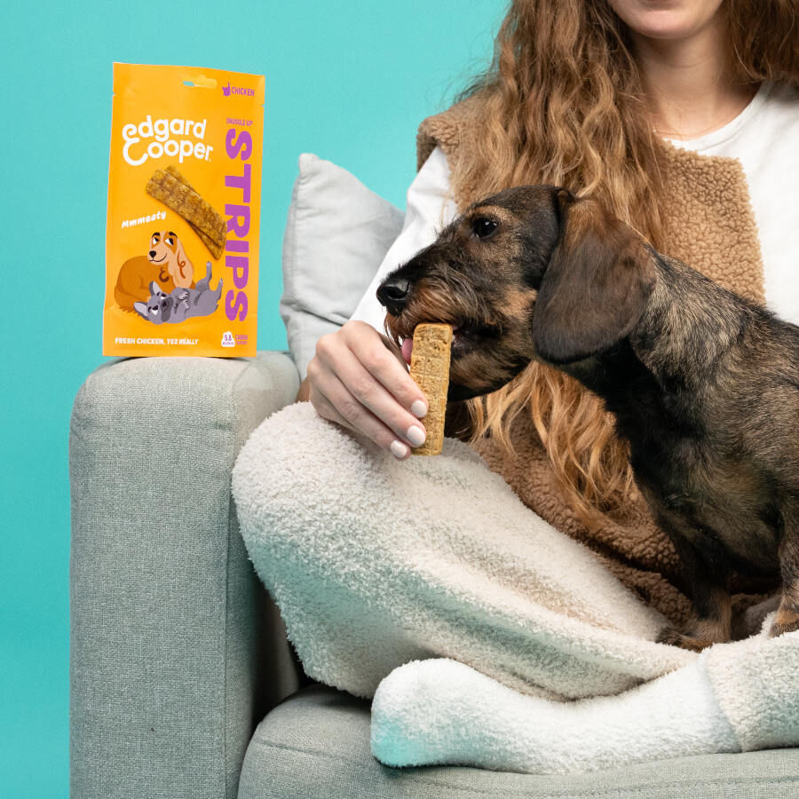 75 g Edgard y Cooper Tiras de Salm&atilde;o e Frango para c&atilde;es, , large Imagem n&uacute;mero 3